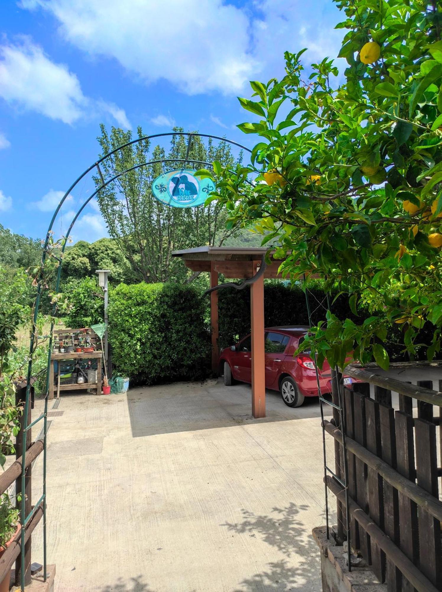 Caledonia B&B Mercato San Severino Ngoại thất bức ảnh